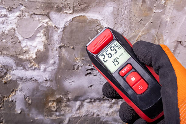 Cerro Gordo, IL Mold Removal Company