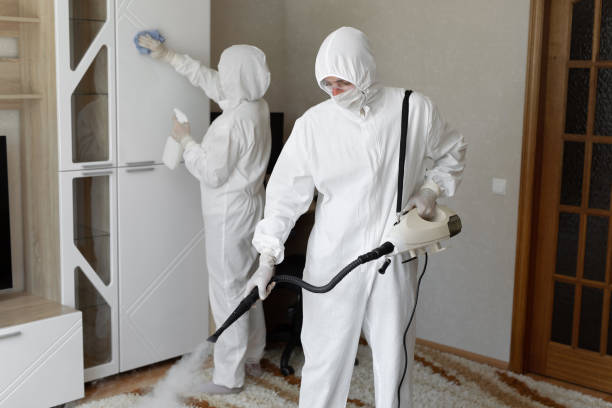 Best Crawl Space Mold Removal  in Cerro Gordo, IL